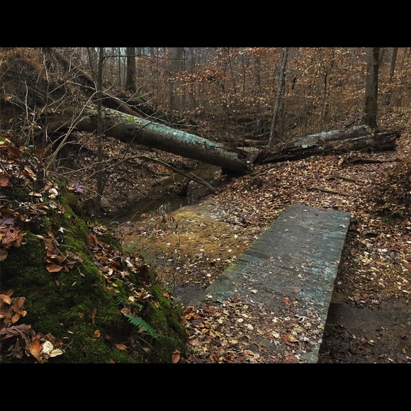 Add Me - Picture 3 of 7